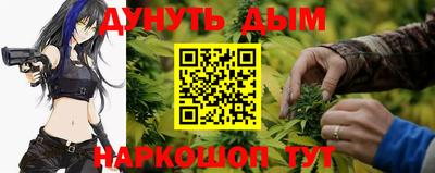 крисы Ирбит