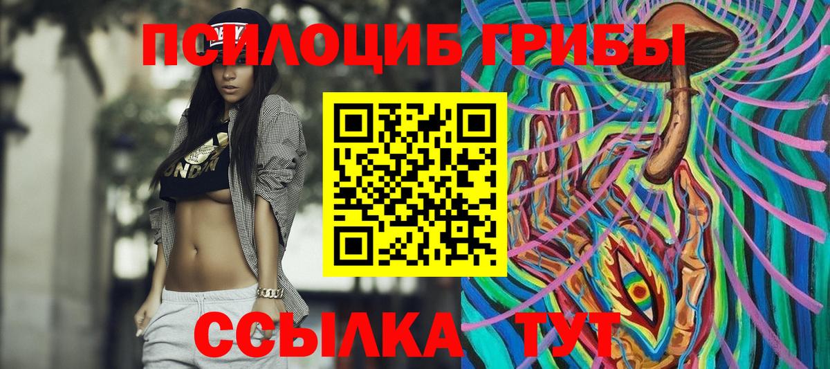 хочу наркоту  Вход с VPN  Ликино-Дулёво  Псилоцибиновые грибы Psilocybine cubensis 