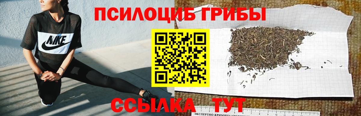 Псилоцибиновые грибы MAGIC MUSHROOMS Ликино-Дулёво